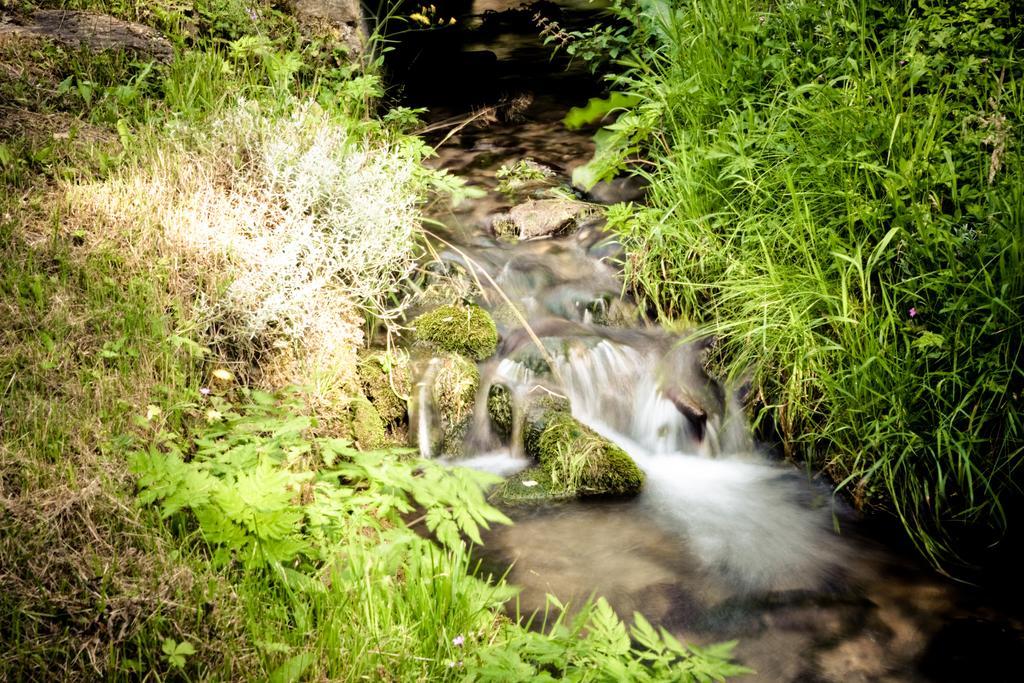 Auberge Du Moulin De Lere Vailly Екстериор снимка